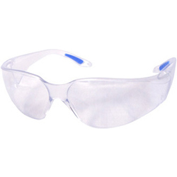 BEESWIFT VEGAS SAFETY SPEC CLEAR LENS